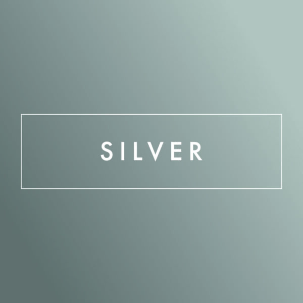 Silver Sponsorship